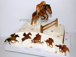 dort koňské dostihy